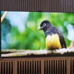 QD-OLED