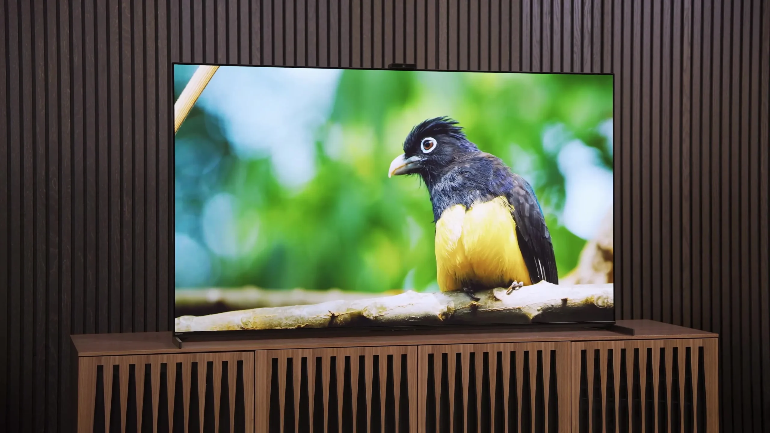 Samsung’s Next-Gen Display: QD-OLED Technology