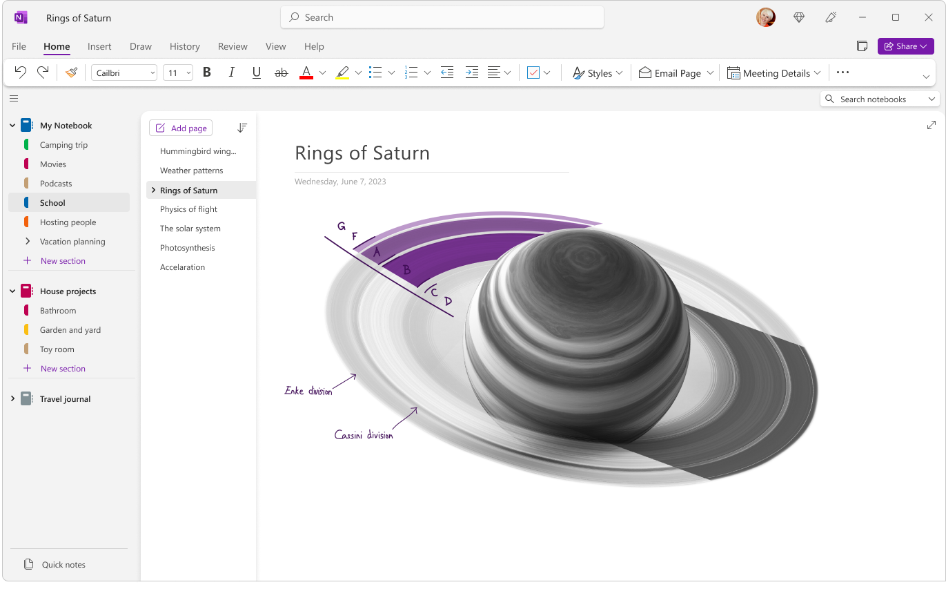 Microsoft OneNote