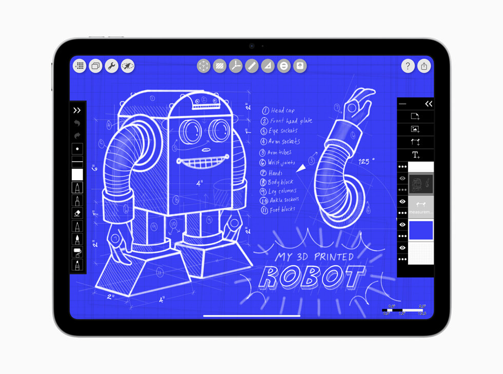 iPad (standard model)